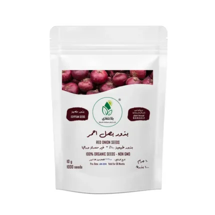 Red Onion Seeds – 10g