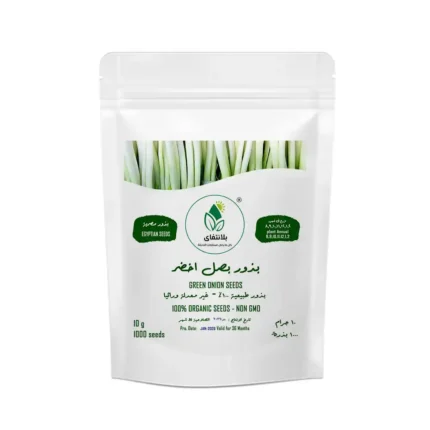 بذور بصل اخضر
