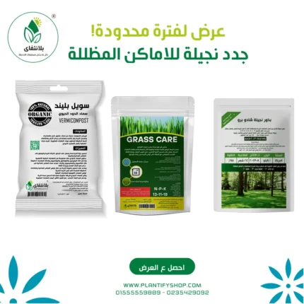 جدد النجيلة اللى مش بيوصلها شمس