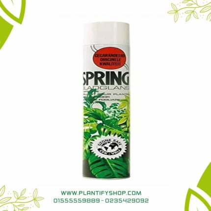 Spring cleaner and leaf shine spray for indoor plants 600 ml