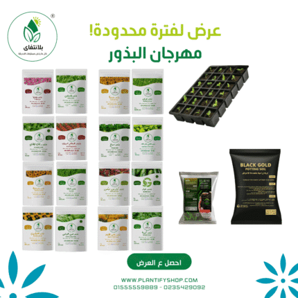 مهرجان البذور