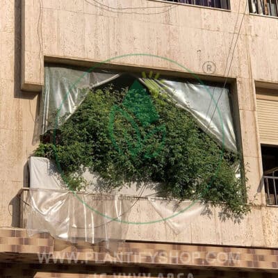 تجارب العملاء | Plantify