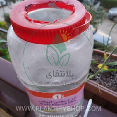 تجارب العملاء | Plantify