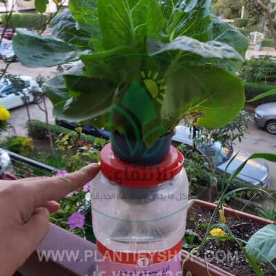 تجارب العملاء | Plantify