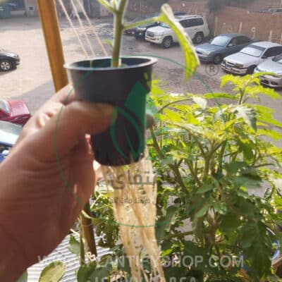 تجارب العملاء | Plantify