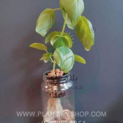 تجارب العملاء | Plantify