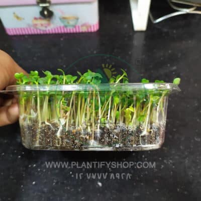 تجارب العملاء | Plantify