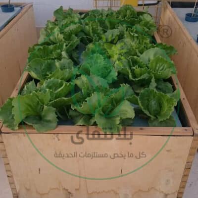 تجارب العملاء | Plantify