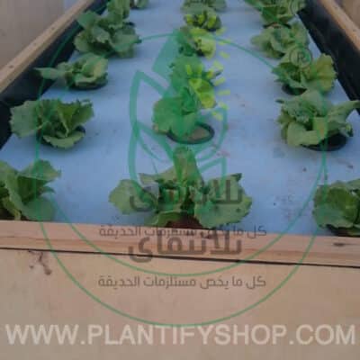 تجارب العملاء | Plantify