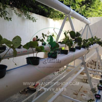 تجارب العملاء | Plantify