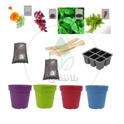 Exploration Kit – 13 Pieces