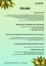⁦دليل تسميد اشجار الفاكهة⁩ - الصورة ⁦3⁩