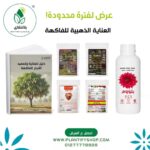 العناية الذهبية للفاكهة