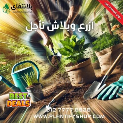 ازرع وبلاش تأجل
