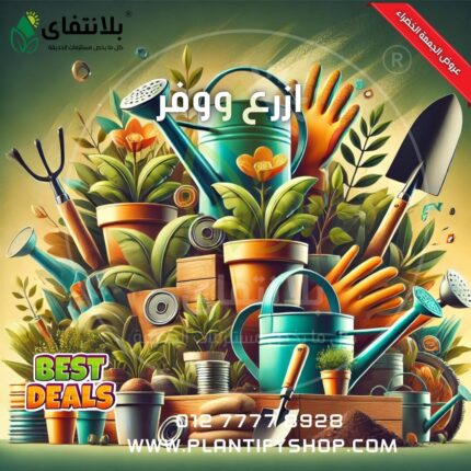 Plant and Save