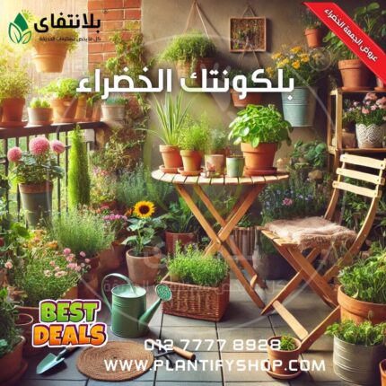 بلكوتك الخضراء