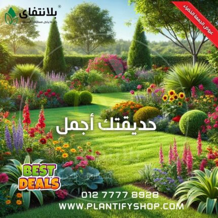 حديقتك أجمل