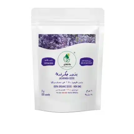 Jacaranda Seeds 2g