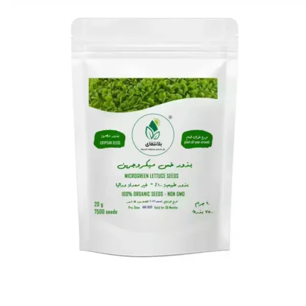 Lettuce Microgreen Seeds 20g