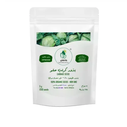 بذور كرنب حشو 5 جرام