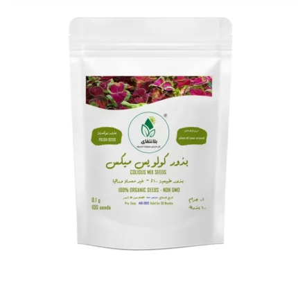 Coleus Mix Seeds 100 Seeds