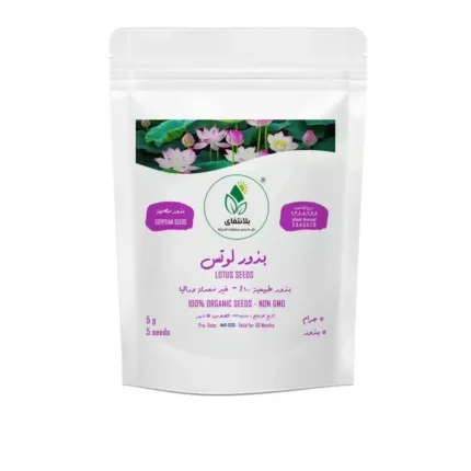 Lotus Seeds (5 Seeds)