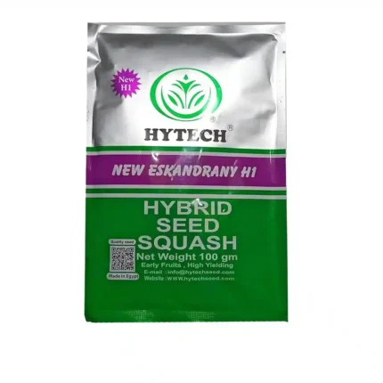 Zucchini seeds H1 100 grams