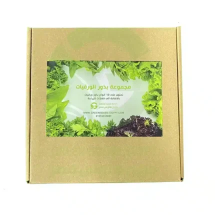 Leafy Vegetable Seeds Set (11 Pieces)