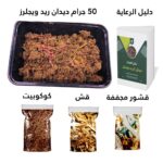 ⁦ايكو بوكس 200 دودة ريد ويجلر⁩ - الصورة ⁦2⁩