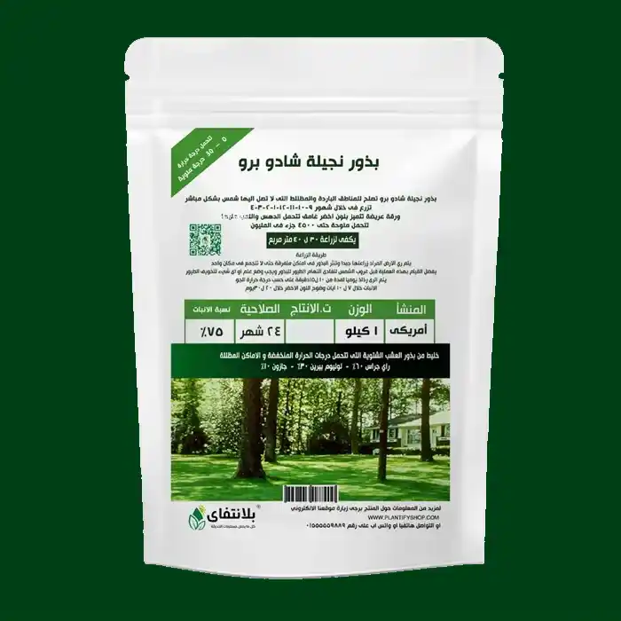 Shadow Pro Lawn Seeds