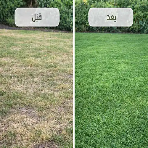 جازون | Plantify