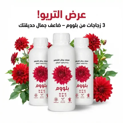 عرض التريو