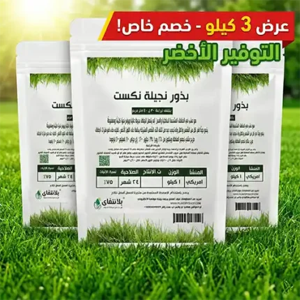 Title: The Green Savings Offer