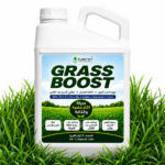 Grass Boost Lawn Fertilizer 1 Liter - Image 3